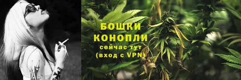 Каннабис White Widow  Чехов 